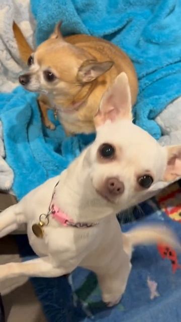 Может, поедим? смотреть онлайн