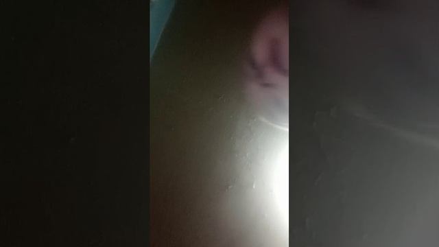 поем мой гимн встаём!!! смотреть онлайн