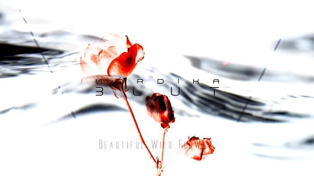 Прекрасный дикий цветок - Nórdika - Blut (2016)!!! смотреть онлайн