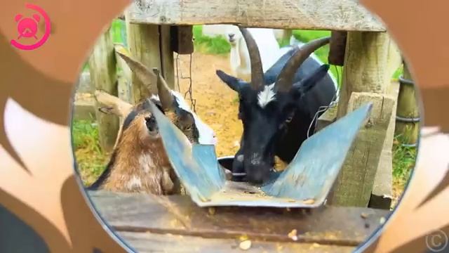 Семейное путешествие Насти Папы и Мамы [get.gt] смотреть онлайн