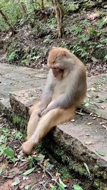 ну подумаешь #приколы #прикол #юмор смотреть онлайн