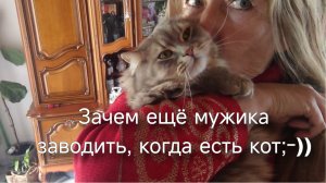 Наколдовала жильцов. Наши туманы. Накупила хлебов.