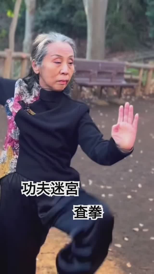 Лабиринты кунг-фу - Кунг-фу Мэйкю - Ча Цюань - Фа Цзинь