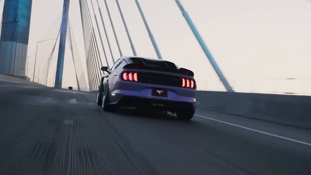 ASPARAGUSproject - Flowers смотреть онлайн