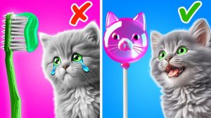 Спасаем маленького котёнка 😿 Милые кошачьи поделки 🐾