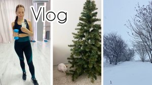 Без сил / В понедельник пришла зима / Убрала ёлку 🎄