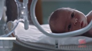 1951 малыш появился на свет в Братске в прошлом году