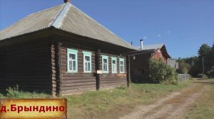 Уютная деревня с приветливыми жителями. Дом в деревне на продажу за 550 тысяч. Тихая деревня у леса