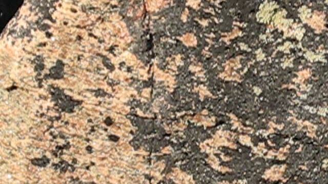 ©  «Куричья Нилокса. Осень 2007. Щель. Фрагмент» 2007 MVI_1252