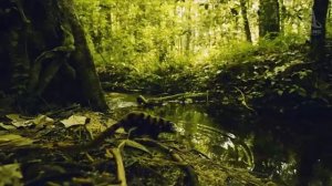 Земля. Путешествие к началу времён.