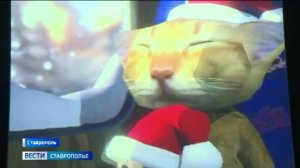 Медиахудожники из разных стран мира представили свои экспозиции в Ставрополе