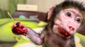 Ангелина поделилась с Люсей черешней, ЭТО НАДО ВИДЕТЬ)))