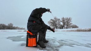 ЭТА МОРМЫШКА ЛОВИТ ВСЕГДА! Рыбалка на безмотылку и жерлицы на реке.