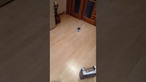 Дрифт машина.