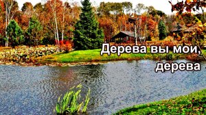 Жанна Бичевская - Дерева вы мои дерева
