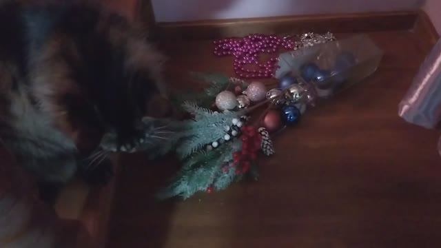 Вернись моя память!😂Воспитываю Люську! смотреть онлайн