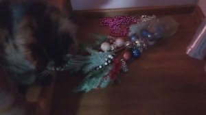 Вернись моя память!😂Воспитываю Люську!