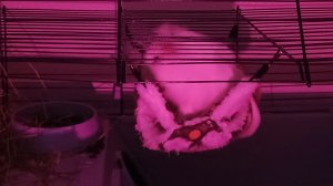 Смотрим прямая трансляция онлайн прямо сейчас 💝