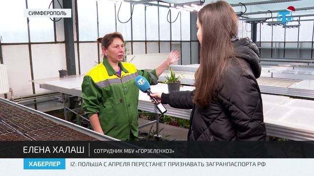 В Симферополе высадят 25 тысяч весенних цветов смотреть онлайн