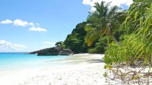 Расслабься на берегу моря под шум волн 🌊 Отдохни здесь и сейчас 🧘 Забудь все ✨