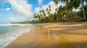 Чилл-аут-микс 2026 года ｜ Tropical  DEEP HOUSE