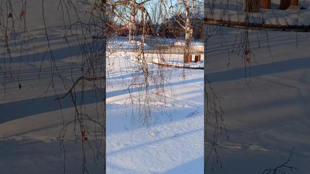 Прогулка по Мегиону смотреть онлайн