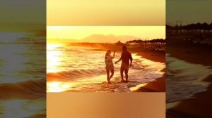 Играй ШАНСОНЬЕ - Я нежность, собирала для тебя. Видеомонтаж Елена Мельникова .