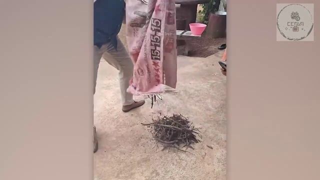 НЕОБЫЧНЫЕ СОБЫТИЯ КОТОРЫЕ НАЧАЛИ ПРОИСХОДИТЬ ПО ВСЕМУ МИРУ смотреть онлайн