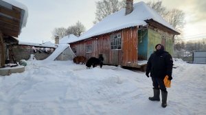 Как мы выживаем в деревне зимой. Здесь нет ничего лишнего! Как всех прокормить?