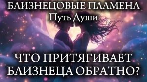 Близнецовые Пламена. Что его притягивает?