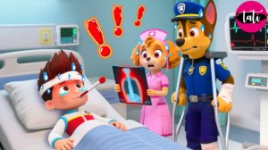 Щенячий патруль и Маршалл. Залипательное видео. Мультфильм для детей и малышей. Анимация 74
