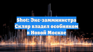 Shot: Экс-замминистра Скляр владел особняком в Новой Москве