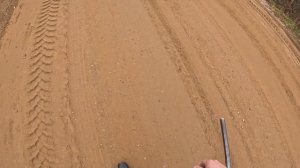 Охота с гончим на зайца