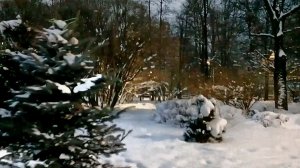 Утренний парк