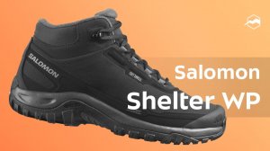 Ботинки Salomon Shelter WP