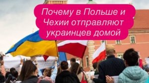 Почему немка была в шоке от «благодарности» украинки. #новости #беженцыизукраины