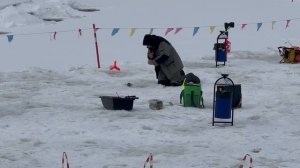 Поимка форели на поставушку.