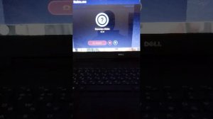 чат рулетка