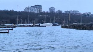 ОДЕССА 15 ЯНВАРЯ 2026. ТИМОШЕНКО ВЗЯЛИ НА ГОРЯЧЕМ! УИТКОФ СНОВА ПОЕДЕТ ПОЕСТЬ ИКРЫ В МОСКВУ.