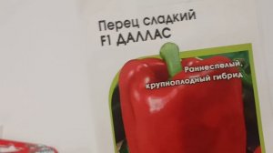 Перцам приготовится! Ревизия семян.