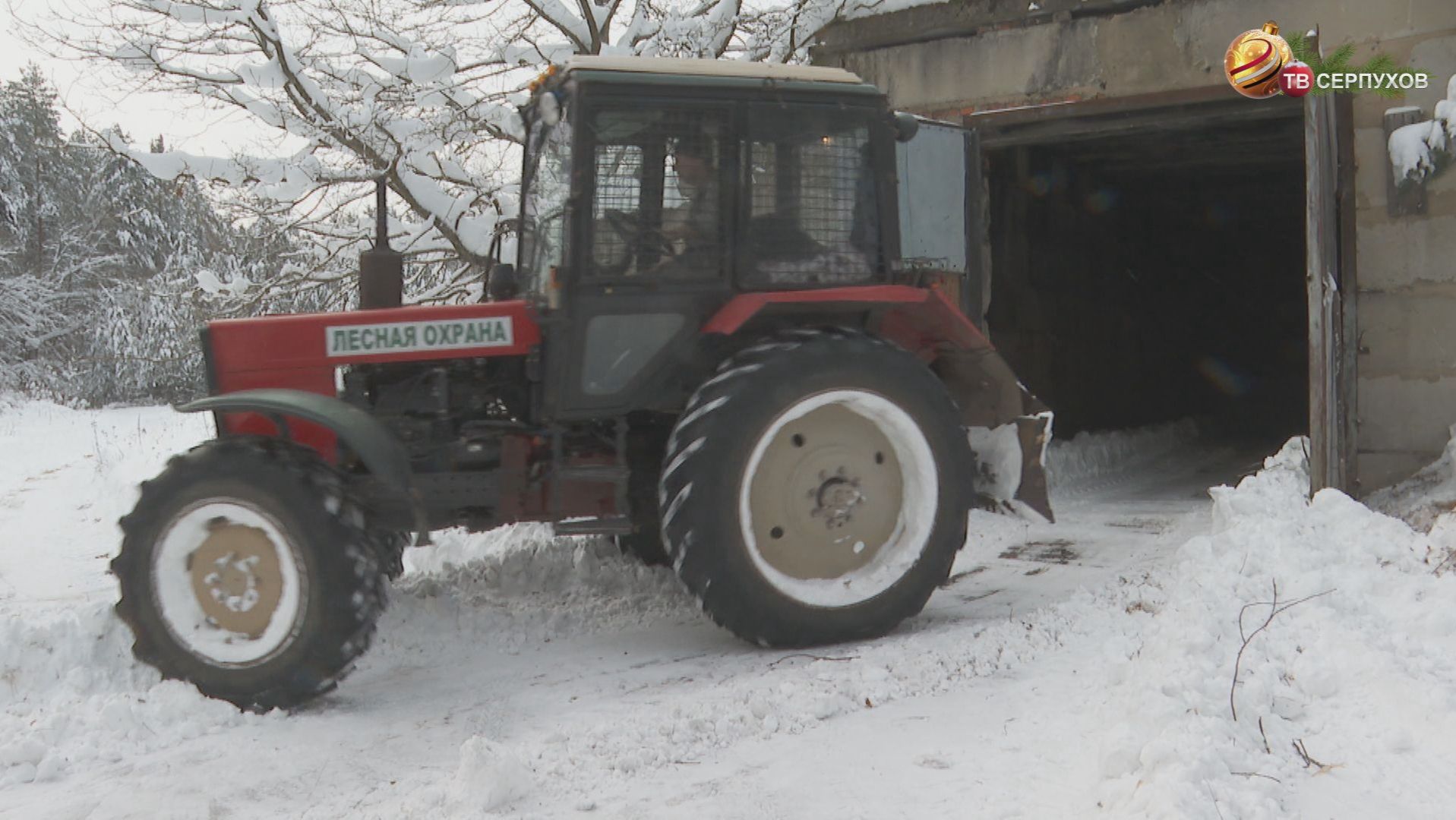 В Серпухове начали подготовку к новому лесопосадочному сезону смотреть онлайн