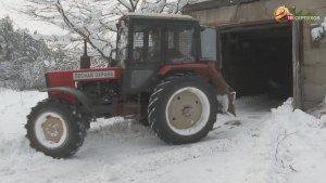 В Серпухове начали подготовку к новому лесопосадочному сезону