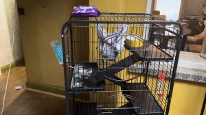 295. Такого я не ожидала! Ремонт продолжается, применяю ваши советы.