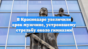 В Краснодаре увеличили срок мужчине, устроившему стрельбу около гимназии