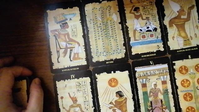 Свинью на органы? И людям по полису ОМС?! смотреть онлайн