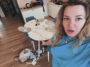 Кот ПЛАТОША хулиганит рвет и мечет 🤪😃