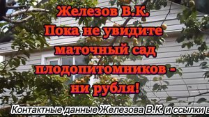 Железов В.К. Пока не увидите маточный сад плодопитомников- ни рубля!