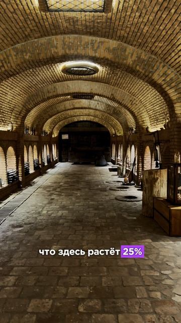 Угадай страну! смотреть онлайн