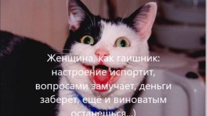 Анекдотцы - 12 🤣