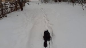 Обход территории.